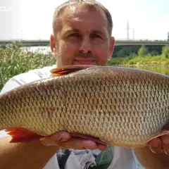 Łowienie karasi na spławik: Sekrety skutecznego połowu