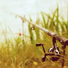 Wędka z kołowrotkiem ustawiona na brzegu wśród traw, z widocznym spławikiem w tle.