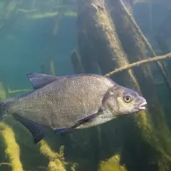 Jaki haczyk na grunt? Sekrety wyboru dla skutecznego łowienia