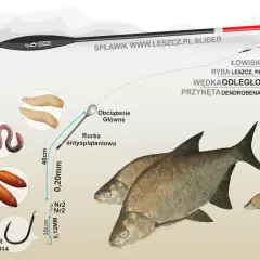 Ilustracja przedstawia zestaw wędkarski: spławik, żyłki, haczyk, przynęty (dżdżownica, biały robak) i ryby (leszcze).