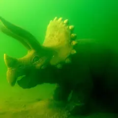 Zanęta na jesiotra: Przepisy i taktyki na "podwodnego dinozaura"