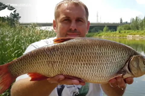 Łowienie karasi na spławik: Sekrety skutecznego połowu