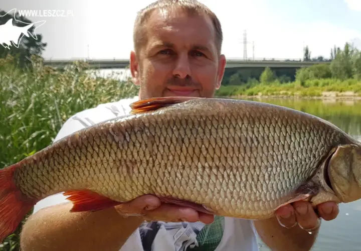 Łowienie karasi na spławik: Sekrety skutecznego połowu