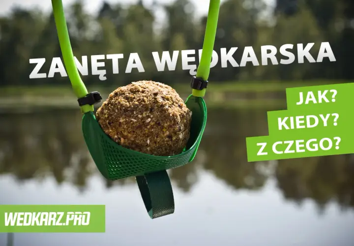 Zanęta wędkarska: Jak dobrać i przygotować, by złowić więcej?