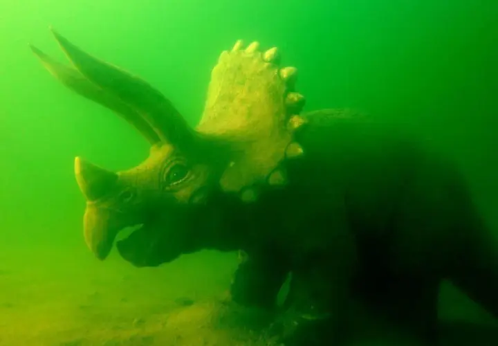 Zanęta na jesiotra: Przepisy i taktyki na "podwodnego dinozaura"