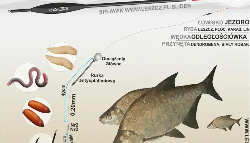 Ilustracja przedstawia zestaw wędkarski: spławik, żyłki, haczyk, przynęty (dżdżownica, biały robak) i ryby (leszcze).