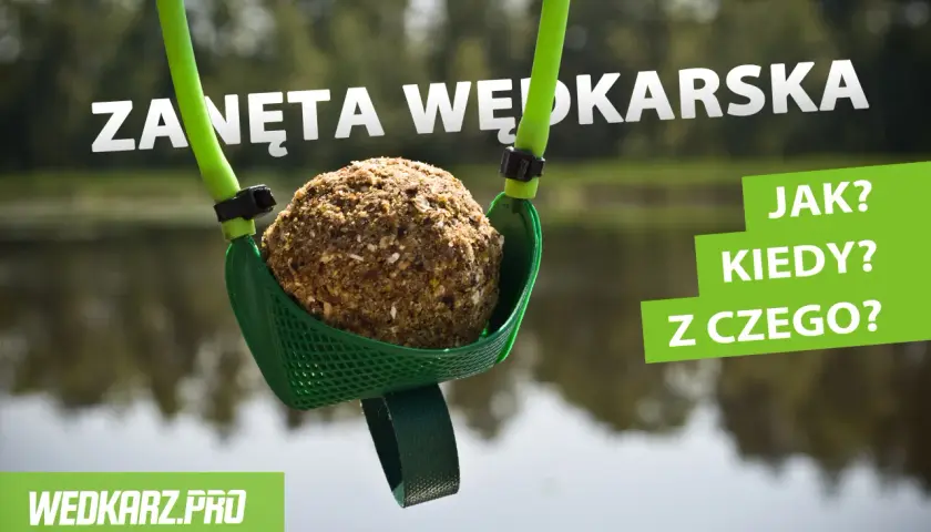 Zanęta wędkarska: Jak dobrać i przygotować, by złowić więcej?