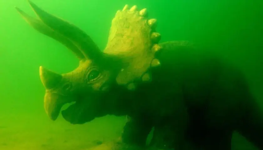 Zanęta na jesiotra: Przepisy i taktyki na "podwodnego dinozaura"