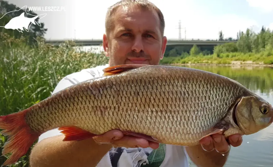 Łowienie karasi na spławik: Sekrety skutecznego połowu
