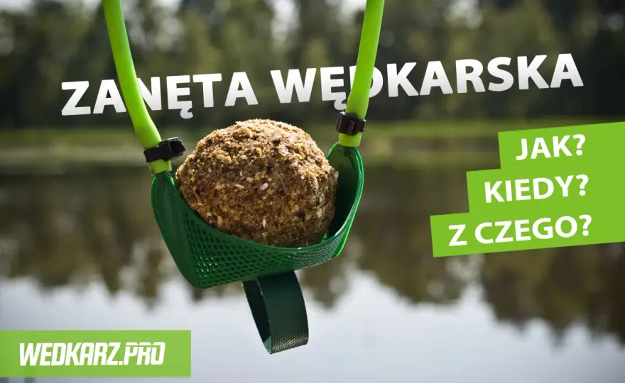 Zanęta wędkarska: Jak dobrać i przygotować, by złowić więcej?