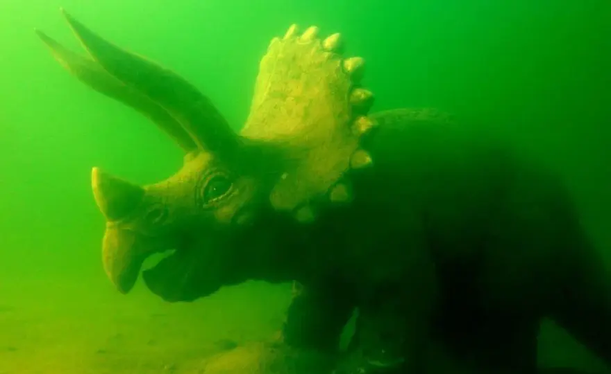 Zanęta na jesiotra: Przepisy i taktyki na "podwodnego dinozaura"