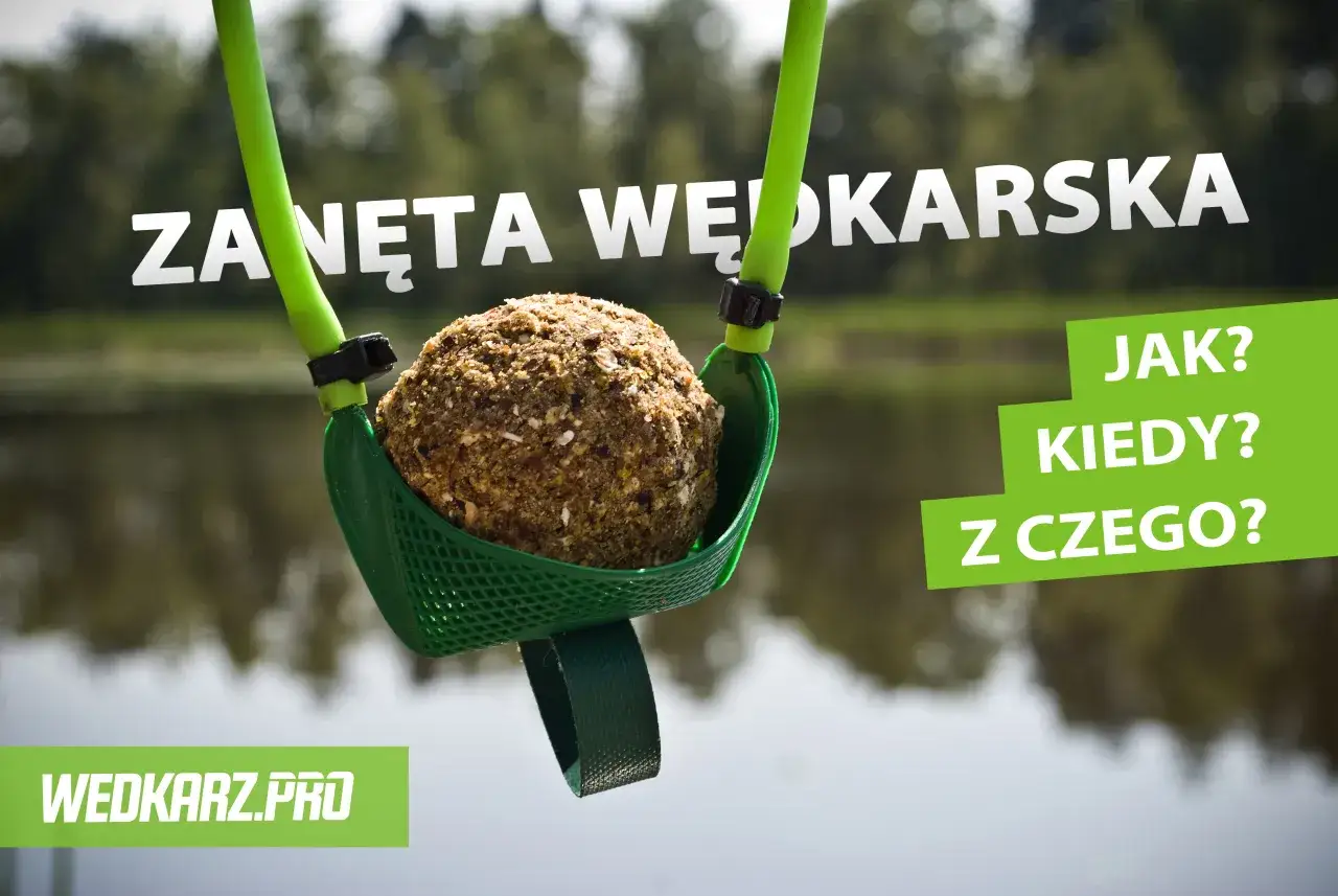 Składniki na domową zanętę wędkarską